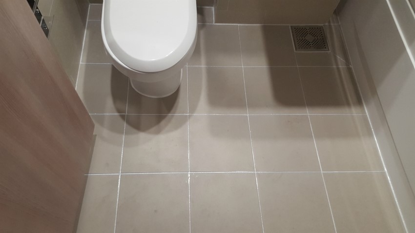 20190218195446%2D%2Ejpg