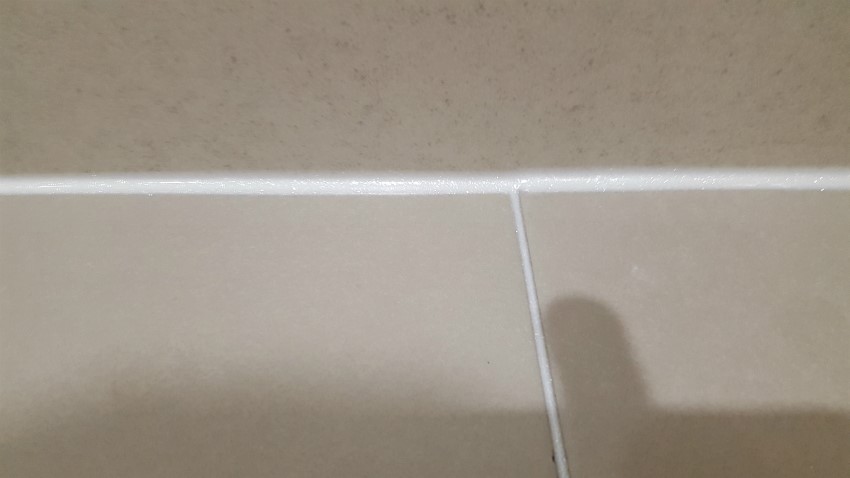 20190218200129%2D%2Ejpg