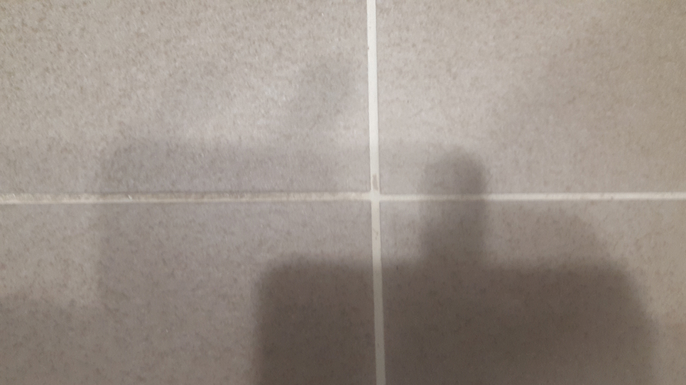 20190329154855%2D%2Ejpg